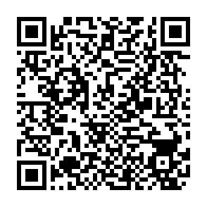 B1 - Gãy cổ xương đùi.png