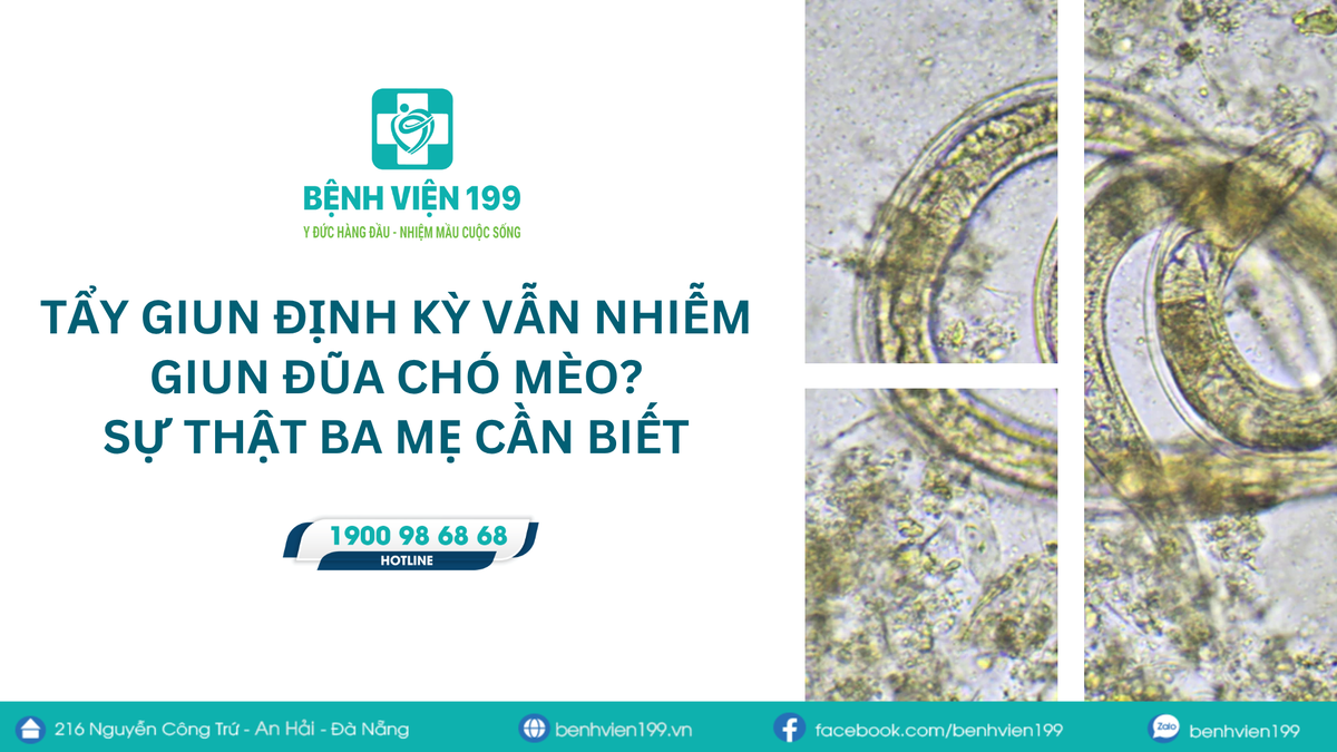 Tẩy giun định kỳ vẫn nhiễm giun đũa chó mèo? Sự thật ba mẹ cần biết