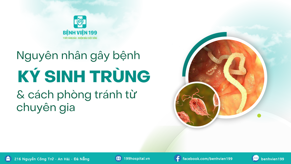 Nguyên nhân gây bệnh ký sinh trùng và cách phòng tránh từ chuyên gia